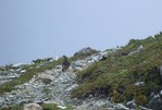 200708kita_raityou