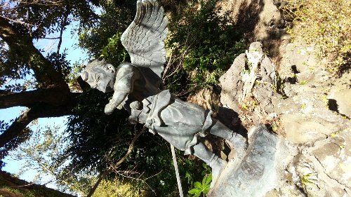 130131tengukarasu