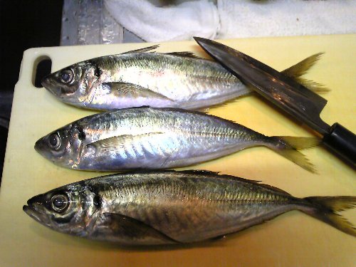 0201aji