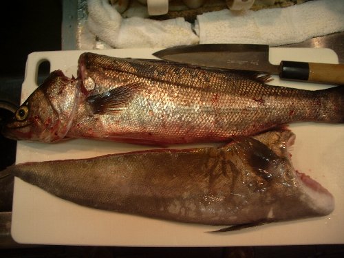 0823suzu_kanpa