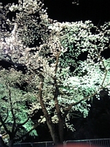 8796f4a7.jpg