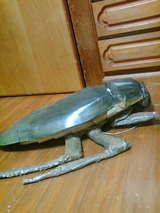 633f989a.jpg