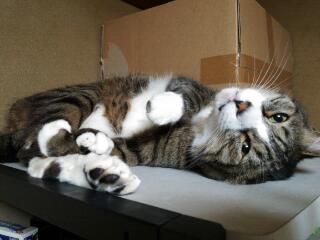 20140626_002054.jpg