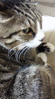 201302262318000.jpg