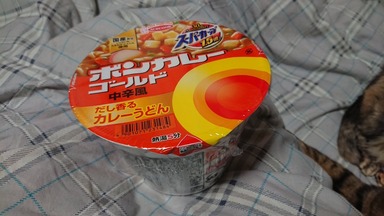 ボンカレーカップ麺