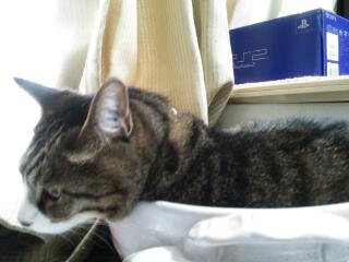 20140526_233719.jpg