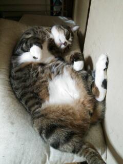 20130928_225549.jpg