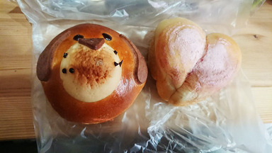 犬パン