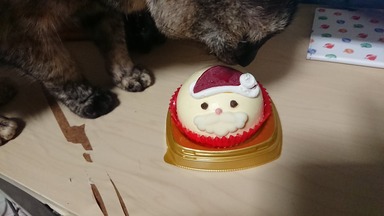サンタケーキ