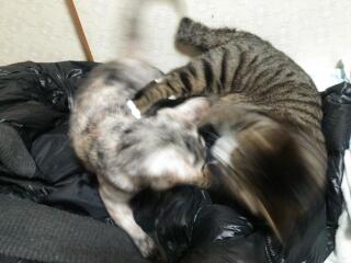 20141125_232658.jpg