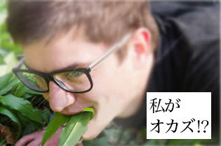 sousyoku001