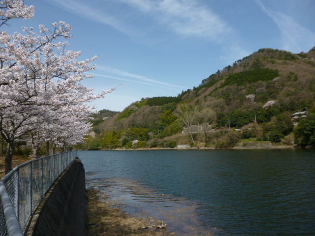 P1030559