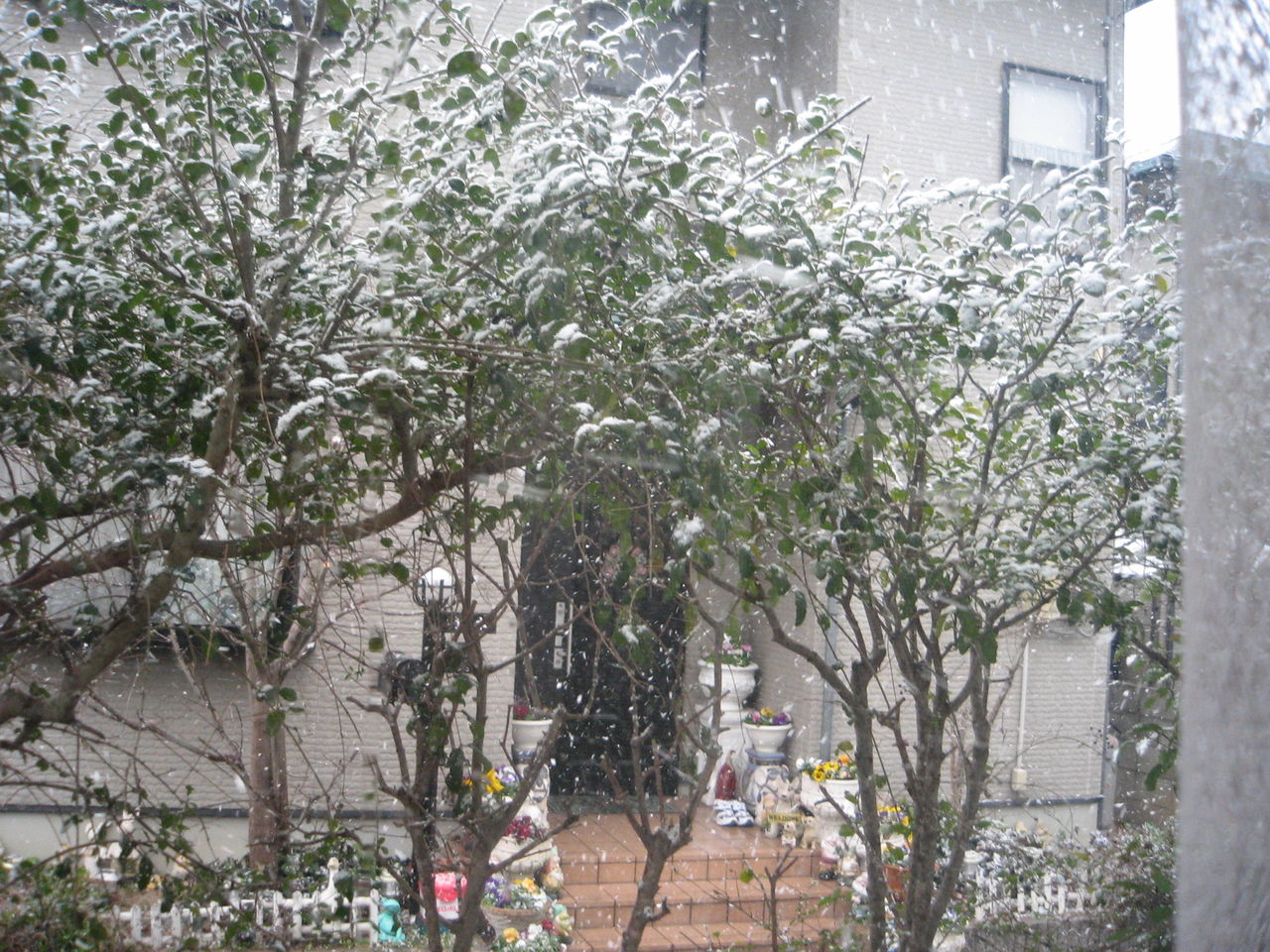 2012年、1月 ミー、料理 046