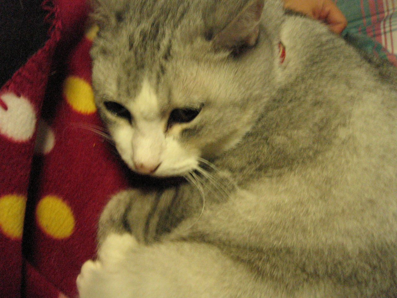 2011 ミー、年末 011