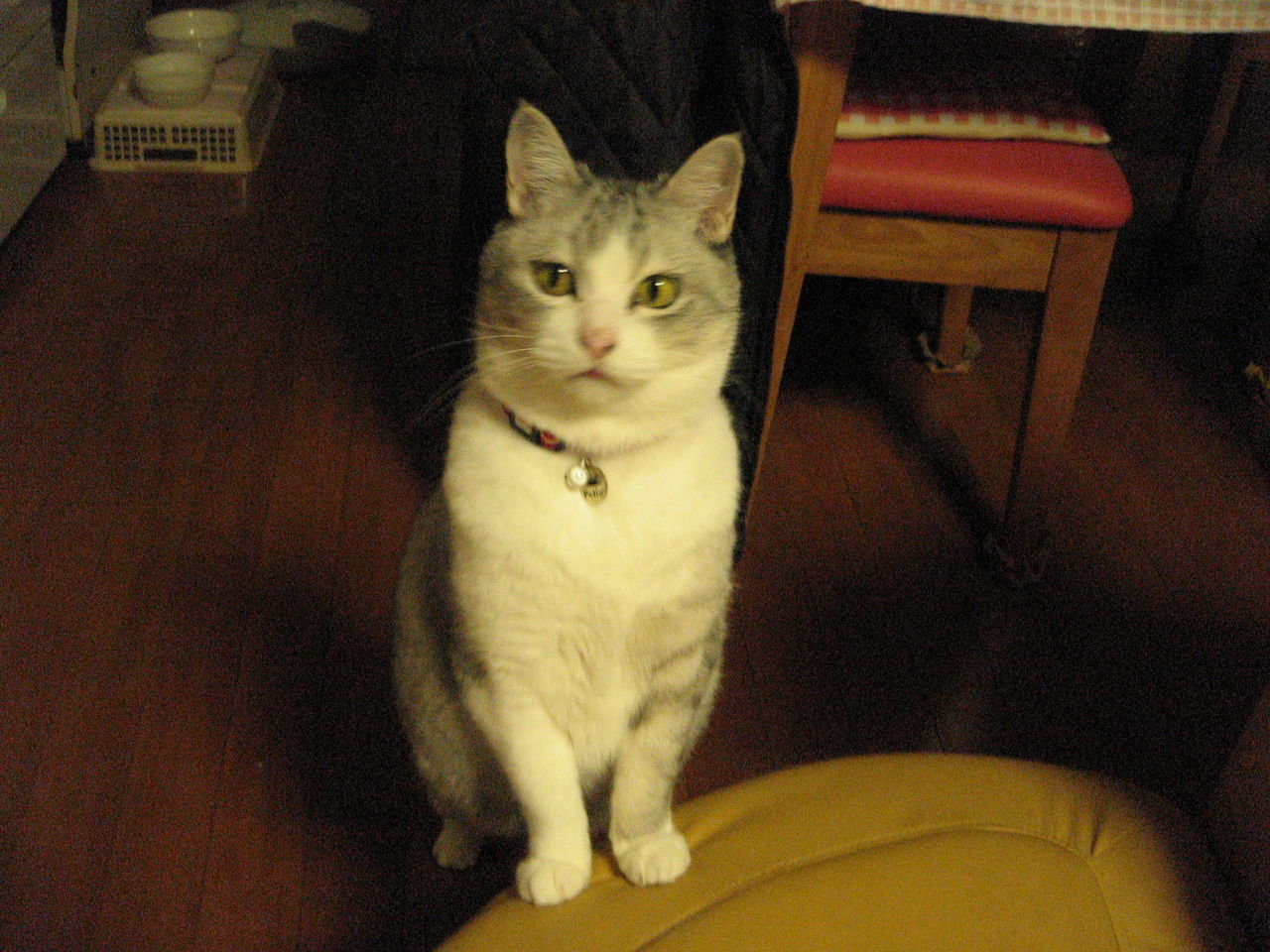 2012 ミー 013
