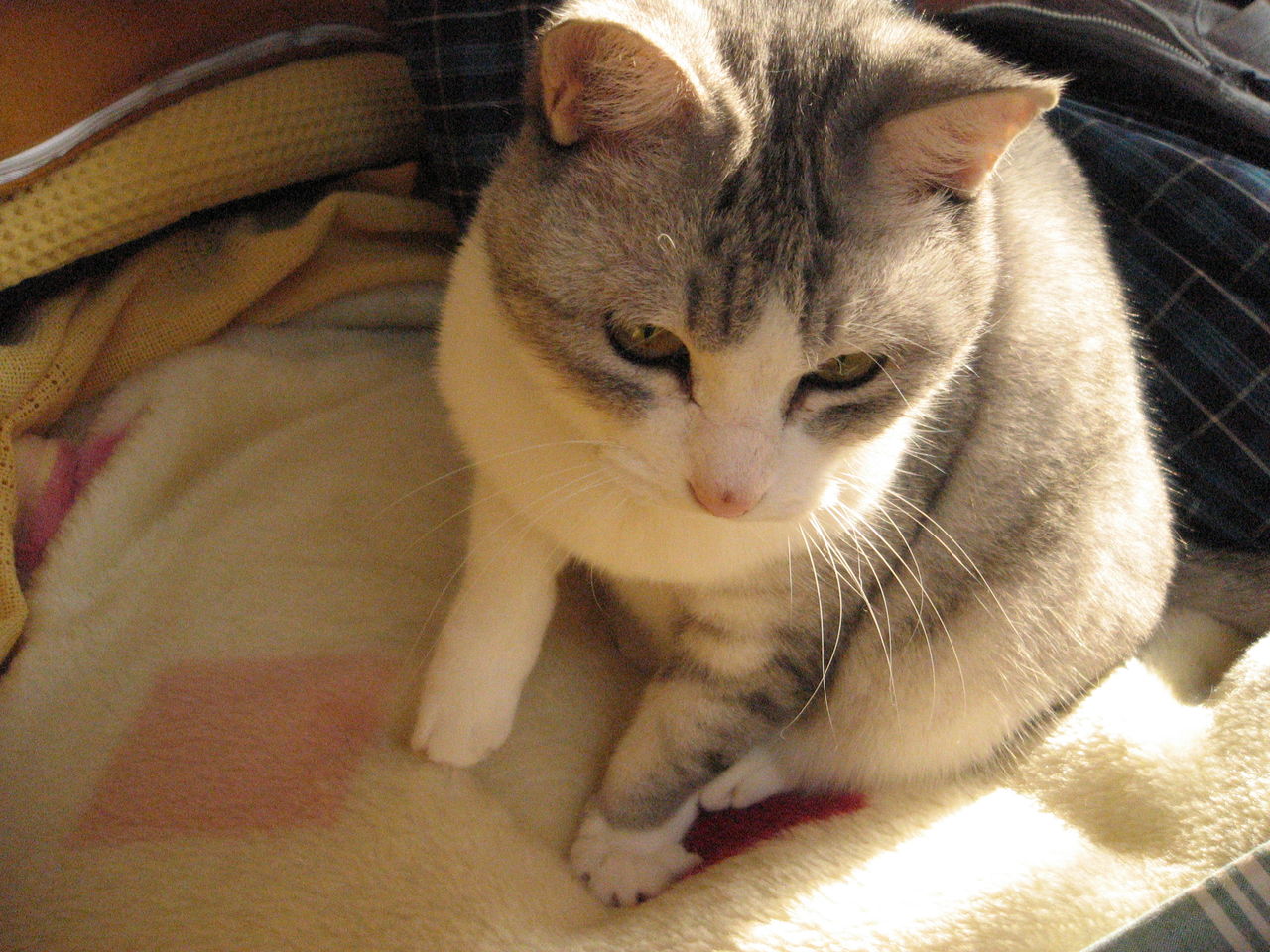 2011 ミー、年末 003