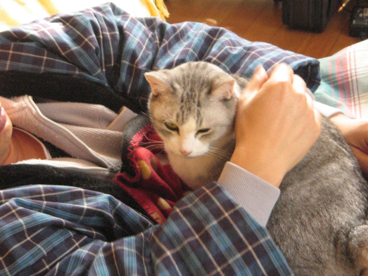 2011 ミー、年末 004
