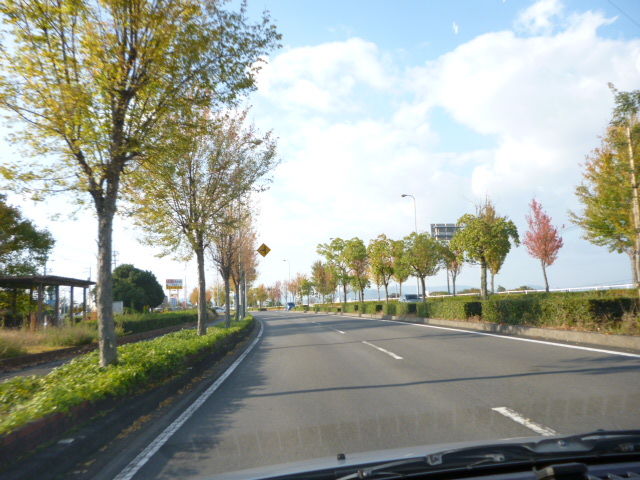 P1020827