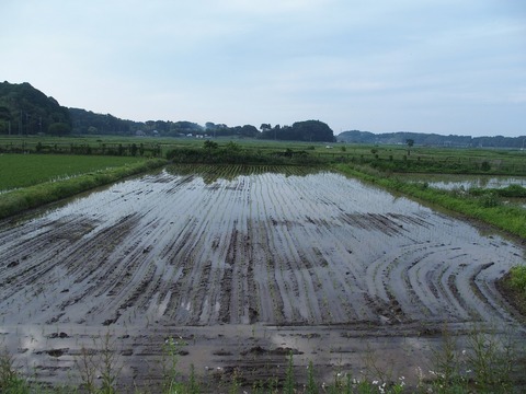 P5290084