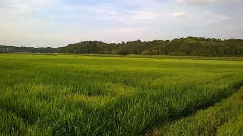 WP_20150712_17_44_47_Pro
