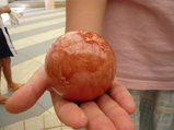 ひかるどろだんご