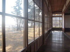 P2044205