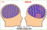 ¥µ¥¡¦²ÃÆ£À®Î¼