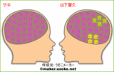 ¥µ¥¡¦»³²¼ÃÒµ×