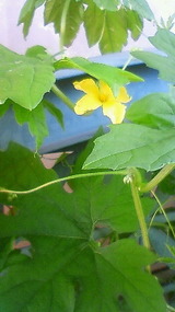 201107110654000