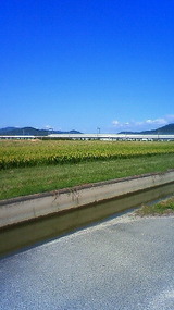 201110041050000