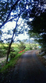 201110031355000