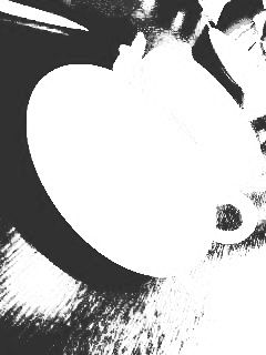 170406_1548~01 - コピー