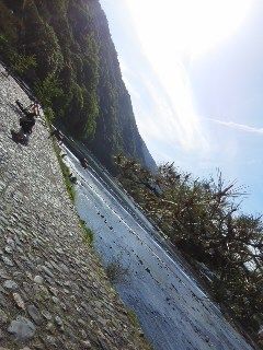 桂川4