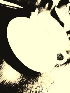 170406_1548~01 - コピー (2)