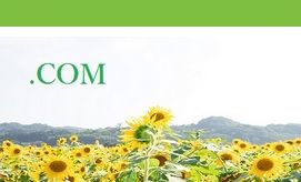 com