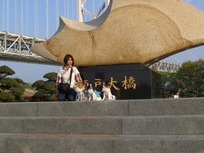 ad6310a0.jpg