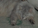 �뤤