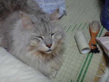 にこにこ