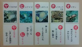 お魚カルタ2