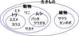 生き物の構成