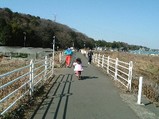 2007_0208_tomo2