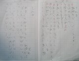 2007_0220_tomo