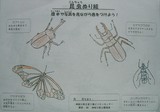 こんちゅうのぬりえ