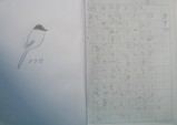 2007_130_tomo