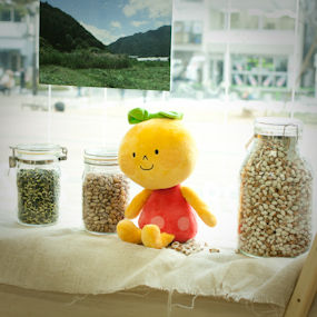 120125_mame_20.jpg