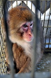 20101011k0000m040016000p_size5