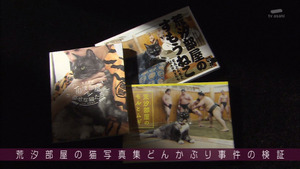 neko24