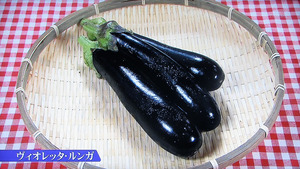inasu21