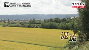 a15