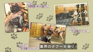 neko6